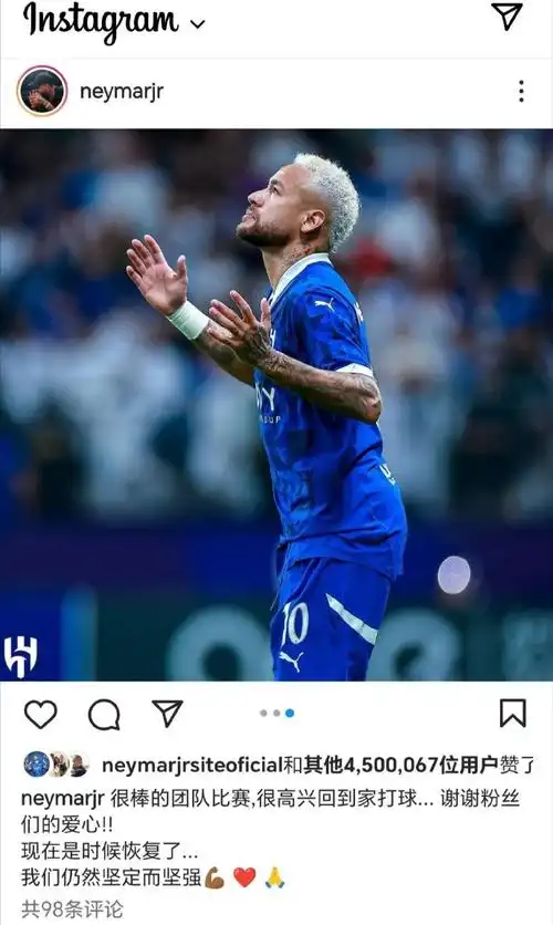 詹姆斯的净 詹姆斯的净